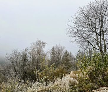 6 TOPSANIERTE ERBEZÜGE AM SEMMERING - Photo 4