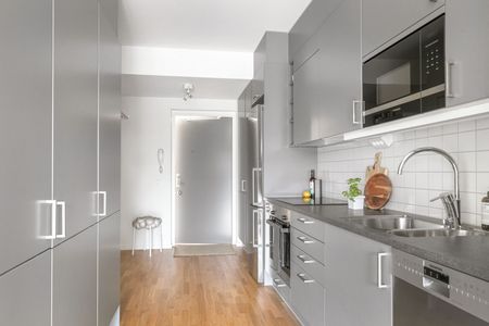 Rosenapelgatan, Göteborg - Photo 5