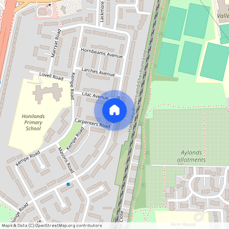 Elsinge Road, London