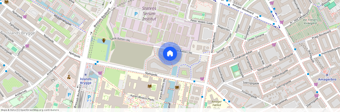 Faste Batteri Vej 64, 6. tv., 2300 København S