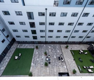 Flat share to rent - Photo 4