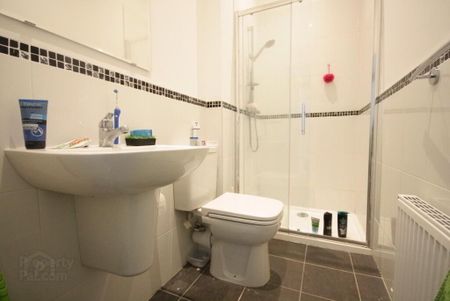 3, 23 Ulsterville Avenue, Belfast, BT9 7AS - Photo 3