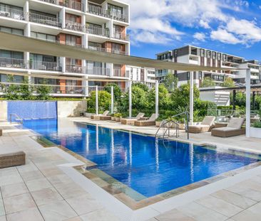 AB207/6 University Road, Miranda NSW 2228 - Apartment For Rent | Do... - Photo 3