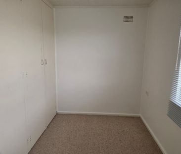 Cute as a button! - Photo 1