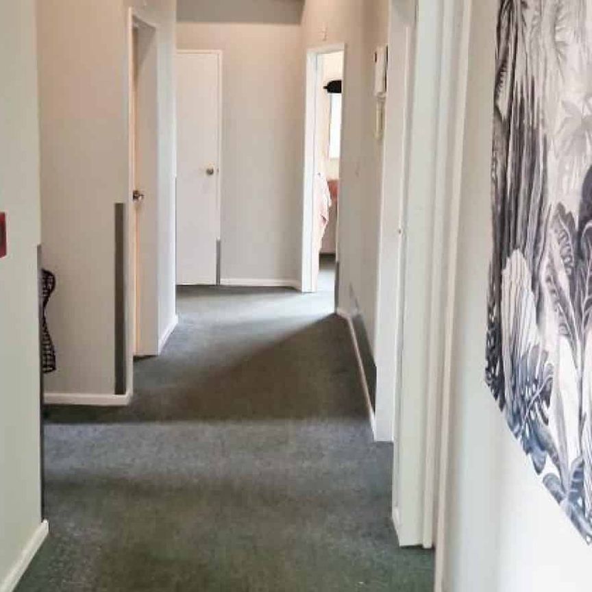 8 Compton Street - Boarding House - Photo 1