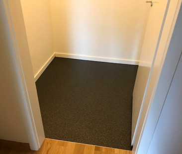 4-Zimmerwohnung mit wunderschöner Rheinaussicht - Foto 2