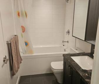 1br + solarium + den - "FURNISHED" -Near JOYCE STATION - Photo 4