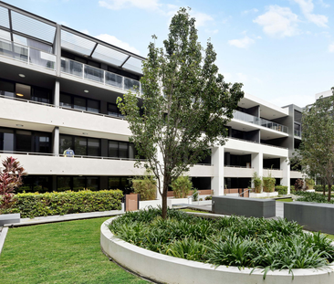 Modern & Tranquil Courtyard Living | Floorboards - Photo 6