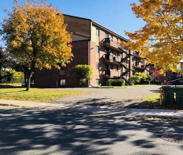 4 1/2 - Montréal (Pointe-Aux-Trembles) - 1 539 $/mois - Photo 1
