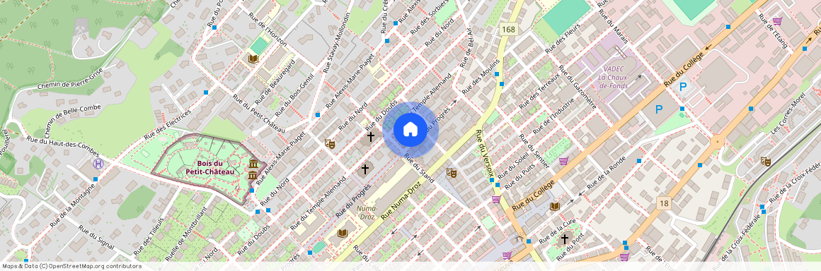 Rue du Progrès 14, 2300 La Chaux-de-Fonds, Neuchâtel