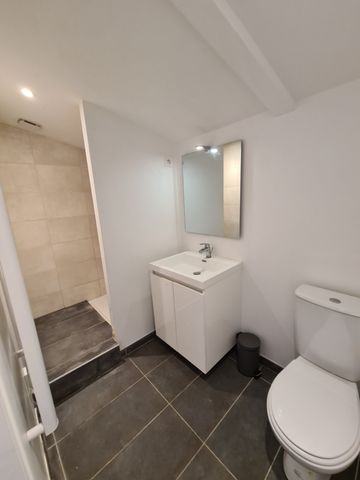 Location Appartement 1 pièce 21m² - Photo 5