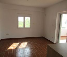 Διαμέρισμα για ενοικίαση - Μαρκόπουλο, - Photo 2