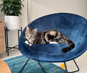 Glendalough - Photo 2