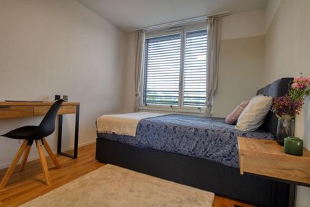 Richard #2 - Spacious Coliving Apartment in Crissier - Photo 5