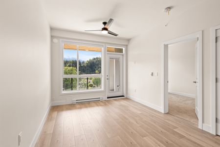 YEARLING - 306 - YE306 - Photo 5