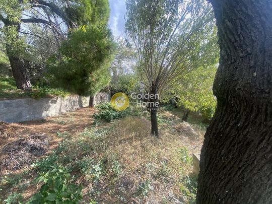 Μονοκατοικία για ενοικίαση Αυλωνάρι (Αυλώνα) - Photo 1