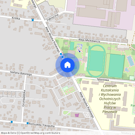 Al. Wojska Polskiego, Pleszew, Pleszew, pleszewski, wielkopolskie