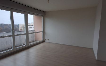 Appartement à louer 2 pièces • Sainte-Foy-lès-Lyon - Photo 5