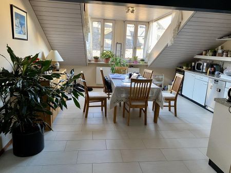 Charming accommodation in the heart of the Grand-Rue and a stone's throw from the lake - Photo 3