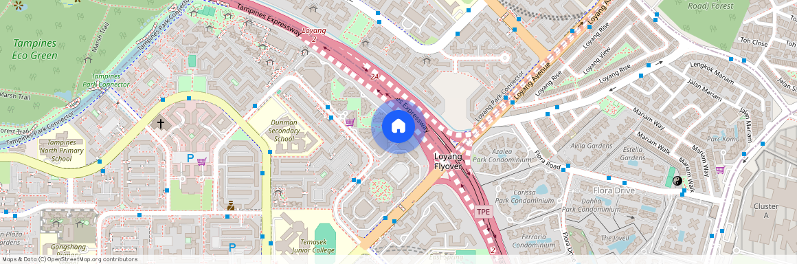 498D Tampines Street 45 (522498), Singapore