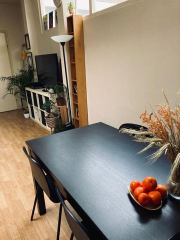 Per direct beschikbaar voor studenten, ruim 2-kamer appartement in hartje centrum van Utrecht - Foto 2