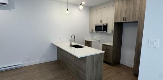 4 1/2 - Sherbrooke - 1 488 $/mois - Photo 2