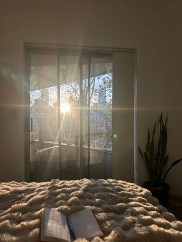 Woolloomooloo - Photo 5