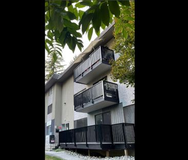 989 Lytton Street - Photo 4