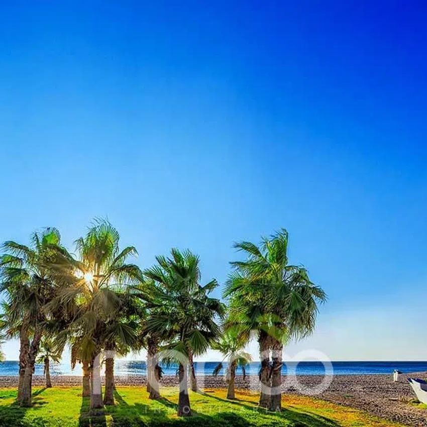 Alquiler de piso en Avenida Antonio Toré Toré - Photo 1