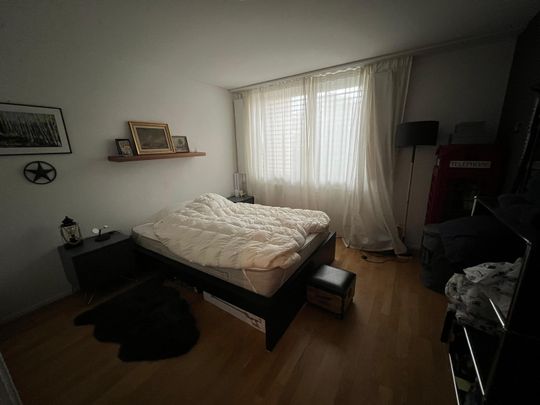 2.5 Zimmer, 55 m², 2. Stock - Foto 1