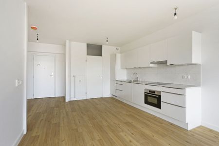 Rosenburch 49 - Photo 4