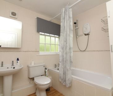 1 Bedroom Apartment - Photo 1