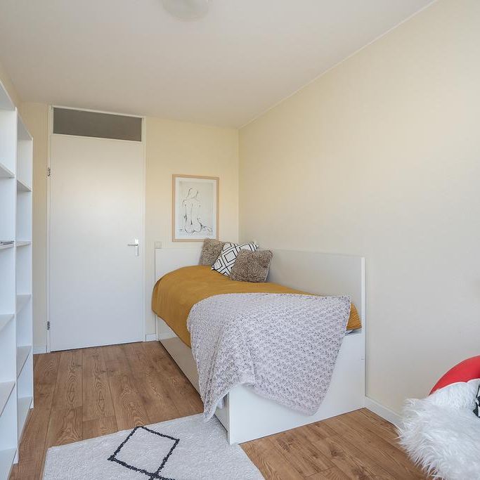 Te huur : Appartement Kromboomsveld 55 in Zandvoort - Foto 1