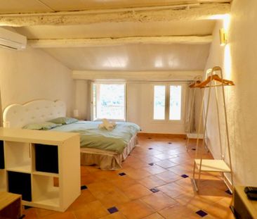 Location Appartement 1 pièce 40m² BARGEMON 83830 - Photo 3