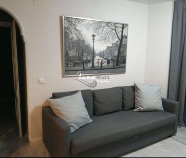 APARTMENT IN THE CENTER OF ARROYO DE LA MIEL - Photo 6