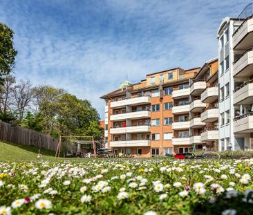 Högamöllegatan, Malmö - Foto 4