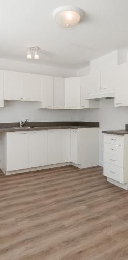 Appartement 4 ½ à louer Sainte-Foy / Sillery janvier 2026 - Photo 1