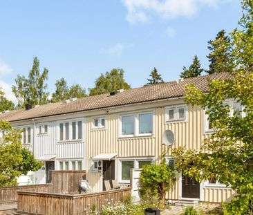 Ribegatan, Kista - Foto 6