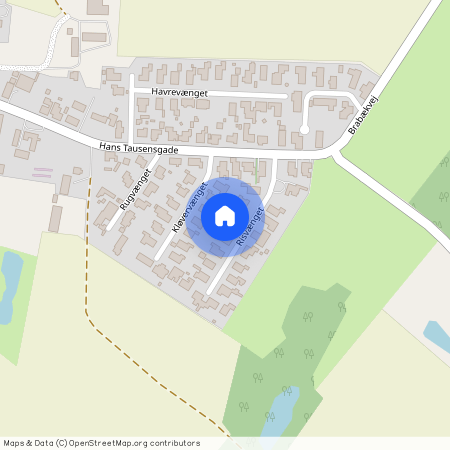 Risvænget 7B, Birkende