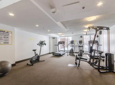 650 Rue Jean-D'Estrées, app.808, H3C 0G3, Montréal - Photo 5