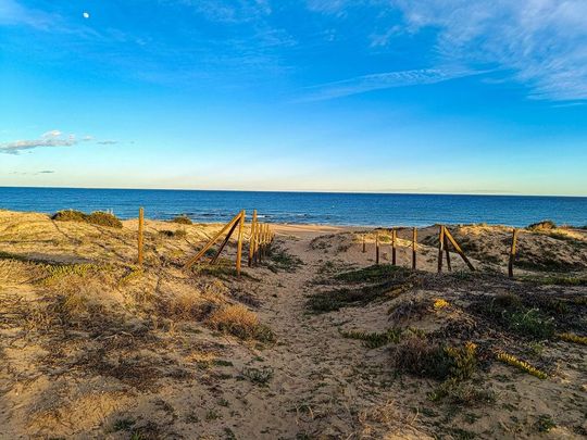 Alquiler de casa o chalet independiente en Partida Moncayo, 33 - Photo 1