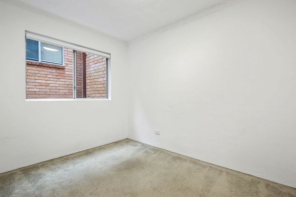 Warm and Welcoming Two Bedroom Apartment - Photo 1