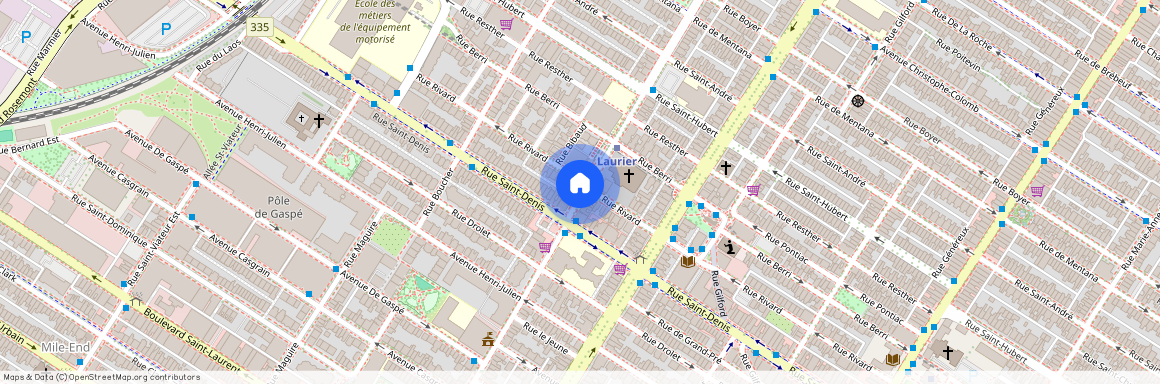 5223 Rue Saint-Denis, Plateau-Mont-Royal, Plateau-Mont-Royal, Ile de Montréal, H2J 1E6