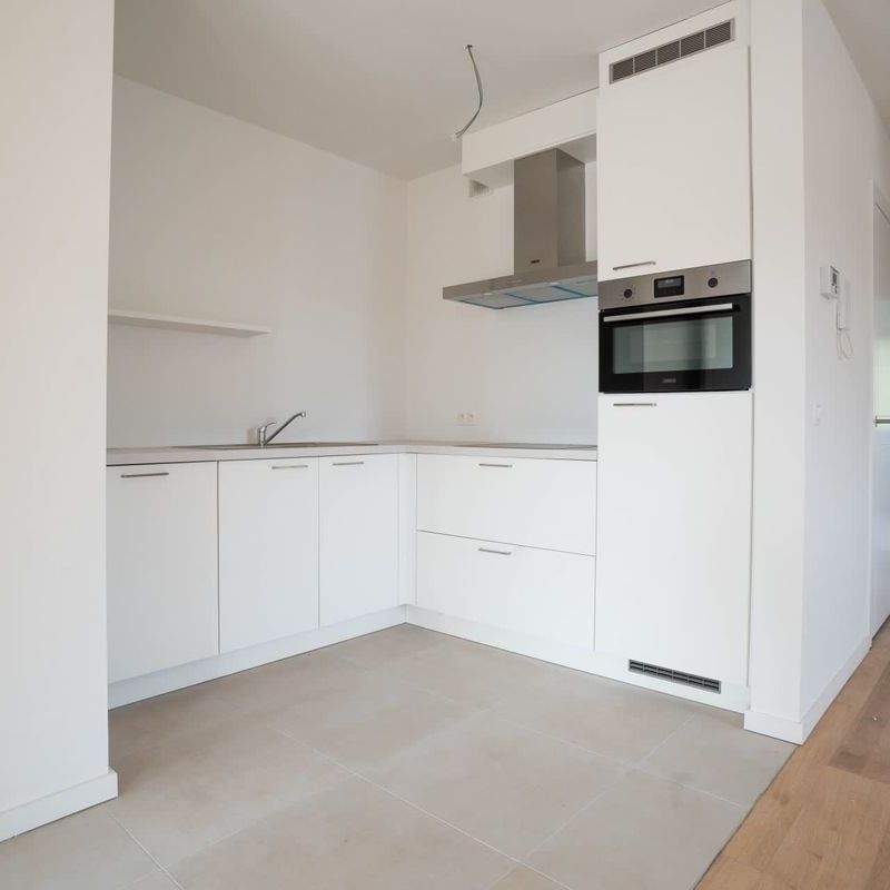 In optie - Penthouse te huur in Boechout met 2 slaapkamers - Photo 1