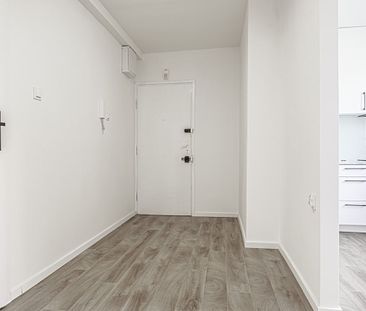 Dwa pokoje 55 m2, 2700 zł/mc, Grunwald - Zdjęcie 1