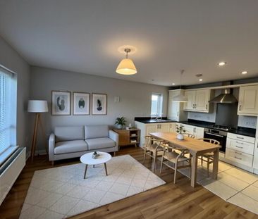 39 Mornington Lane, Lisburn, BT28 2WH - Photo 5