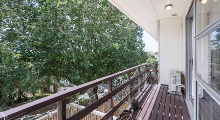 Spacious Townhouse with Bonus Rumpus Room & Multiple Outdoor Areas - Photo 4