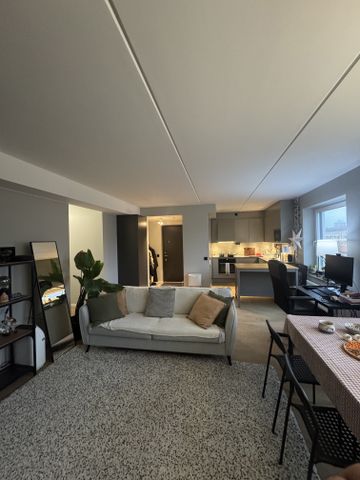 Wieselgrensgatan, Göteborg - Foto 2