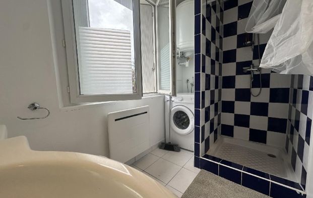 Location Appartement P1 Le mans - Photo 1