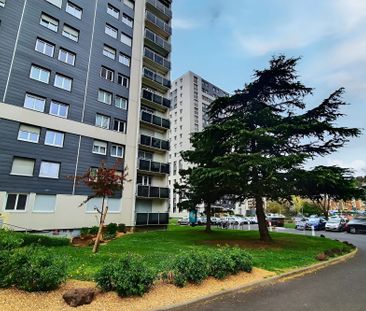 Location Appartement 1 pièce 38m² CLERMONT FERRAND 63000 - Photo 6